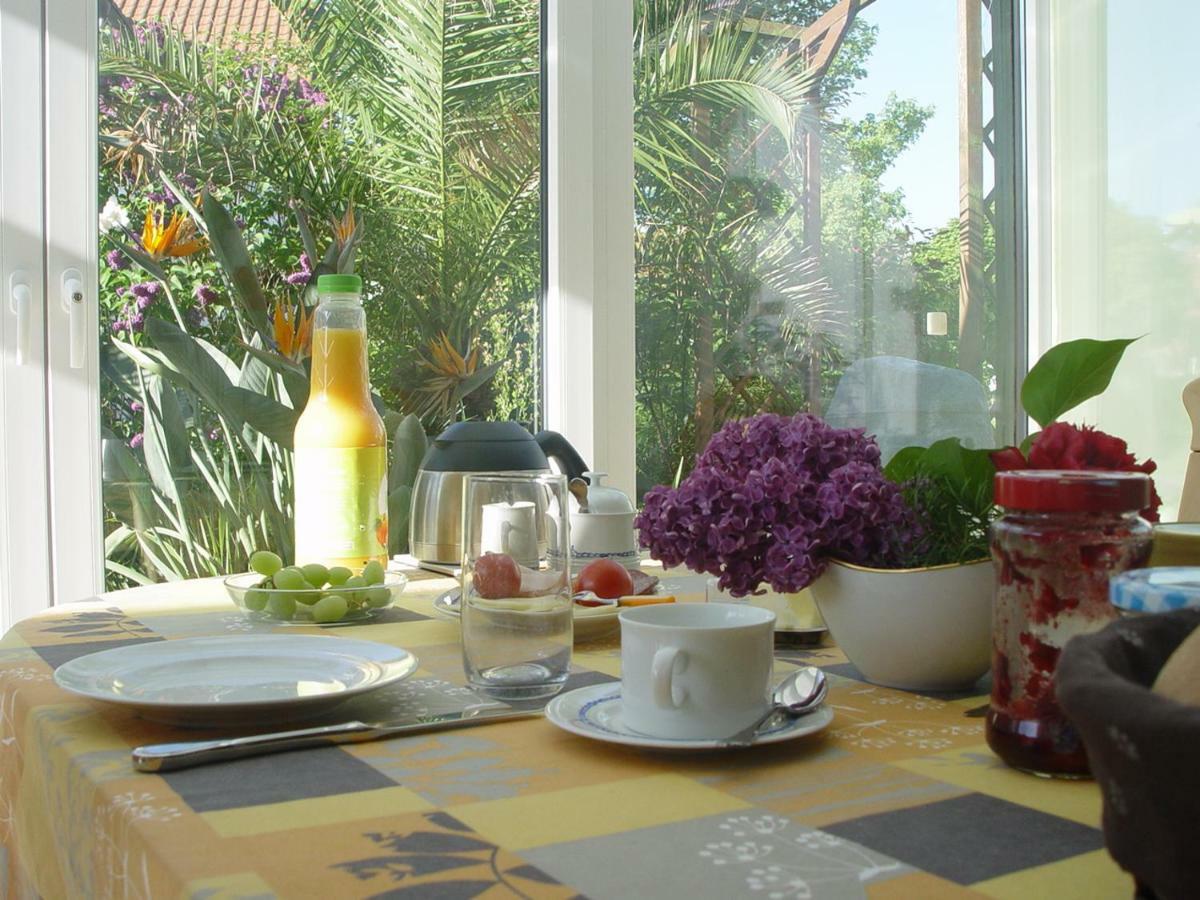 Privatzimmer Mit Aussicht Pirna Exterior photo